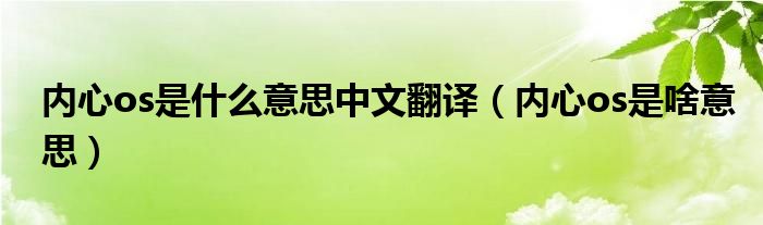 內(nèi)心os是什么意思中文翻譯（內(nèi)心os是啥意思）