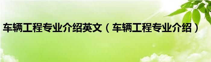 車輛工程專業(yè)介紹英文（車輛工程專業(yè)介紹）
