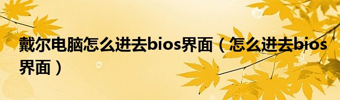 戴爾電腦怎么進去bios界面（怎么進去bios界面）