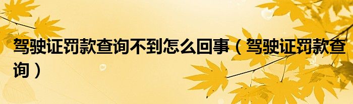 駕駛證罰款查詢不到怎么回事（駕駛證罰款查詢）