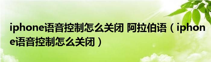 iphone語音控制怎么關(guān)閉 阿拉伯語（iphone語音控制怎么關(guān)閉）