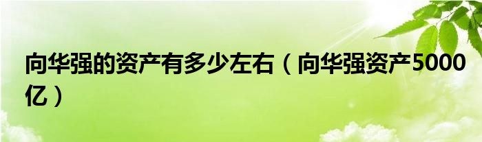 向華強(qiáng)的資產(chǎn)有多少左右（向華強(qiáng)資產(chǎn)5000億）
