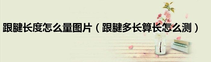 跟腱長度怎么量圖片（跟腱多長算長怎么測）
