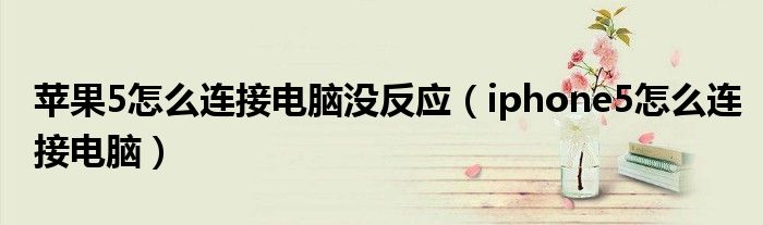 蘋果5怎么連接電腦沒反應(yīng)（iphone5怎么連接電腦）