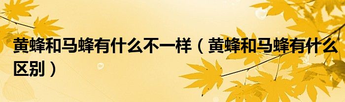 黃蜂和馬蜂有什么不一樣（黃蜂和馬蜂有什么區(qū)別）