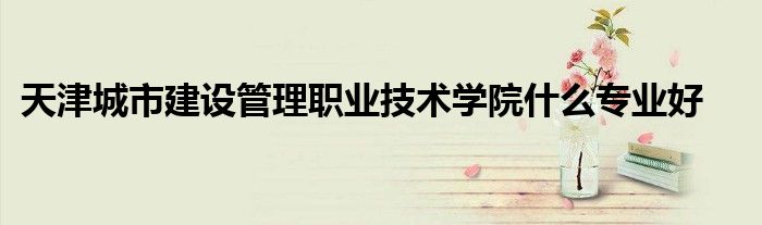 天津城市建設(shè)管理職業(yè)技術(shù)學(xué)院什么專業(yè)好
