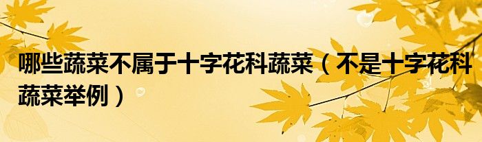 哪些蔬菜不屬于十字花科蔬菜（不是十字花科蔬菜舉例）