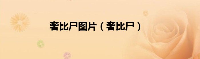 奢比尸圖片（奢比尸）
