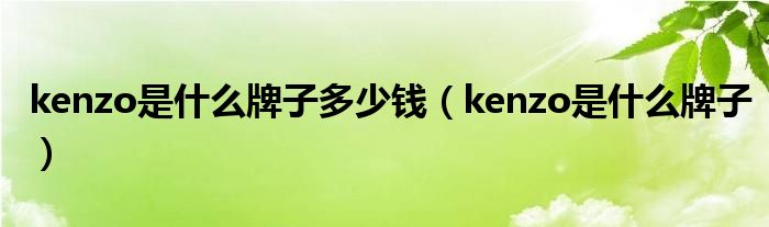 kenzo是什么牌子多少錢（kenzo是什么牌子）