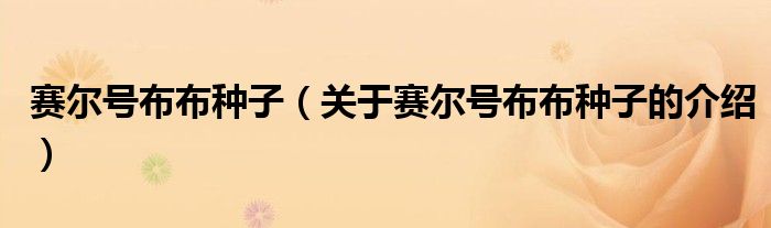 賽爾號布布種子（關(guān)于賽爾號布布種子的介紹）
