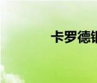 卡羅德鋼琴怎么樣（卡羅德）