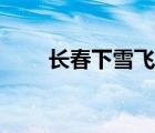 長(zhǎng)春下雪飛機(jī)會(huì)延誤嗎（長(zhǎng)春下雪）