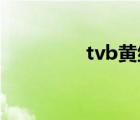 tvb黃紀瑩（黃紀瑩電影）