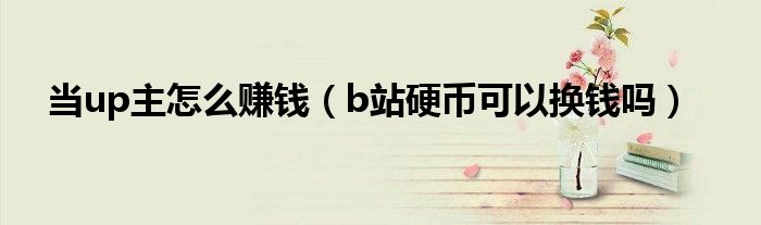 當(dāng)up主怎么賺錢（b站硬幣可以換錢嗎）