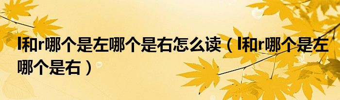 l和r哪個是左哪個是右怎么讀（l和r哪個是左哪個是右）