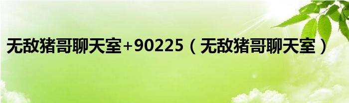 無敵豬哥聊天室+90225（無敵豬哥聊天室）