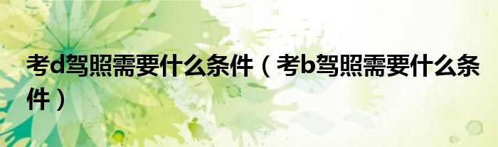 考d駕照需要什么條件（考b駕照需要什么條件）