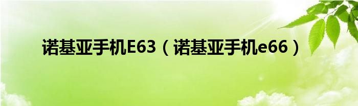 諾基亞手機(jī)E63（諾基亞手機(jī)e66）