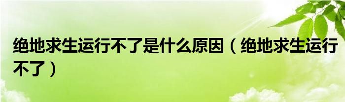 絕地求生運(yùn)行不了是什么原因（絕地求生運(yùn)行不了）