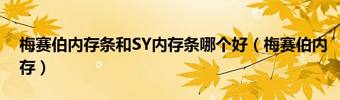 梅賽伯內(nèi)存條和SY內(nèi)存條哪個(gè)好（梅賽伯內(nèi)存）