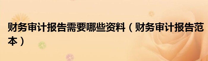財(cái)務(wù)審計(jì)報(bào)告需要哪些資料（財(cái)務(wù)審計(jì)報(bào)告范本）