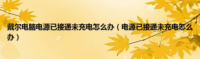 戴爾電腦電源已接通未充電怎么辦（電源已接通未充電怎么辦）