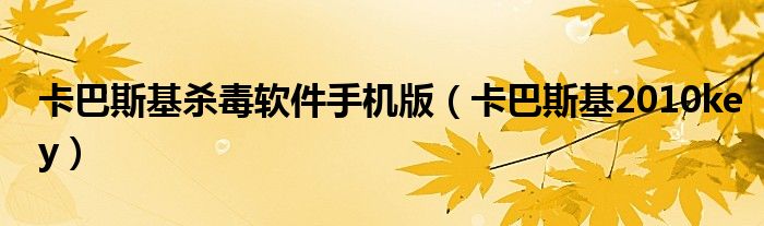 卡巴斯基殺毒軟件手機版（卡巴斯基2010key）