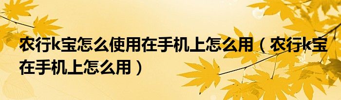 農(nóng)行k寶怎么使用在手機(jī)上怎么用（農(nóng)行k寶在手機(jī)上怎么用）