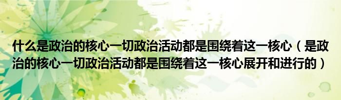 什么是政治的核心一切政治活動都是圍繞著這一核心（是政治的核心一切政治活動都是圍繞著這一核心展開和進行的）