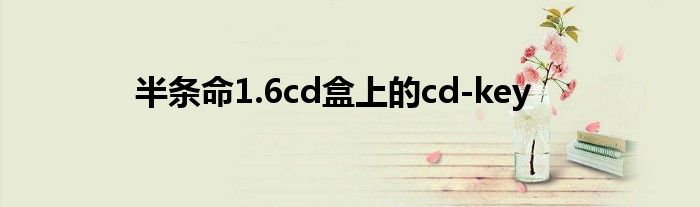 半條命1.6cd盒上的cd-key