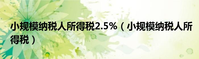 小規(guī)模納稅人所得稅2.5%（小規(guī)模納稅人所得稅）