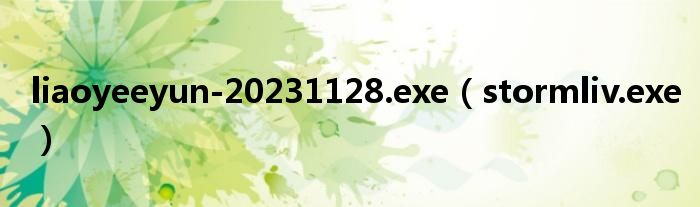 liaoyeeyun-20231128.exe（stormliv.exe）