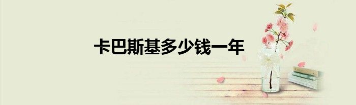 卡巴斯基多少錢(qián)一年