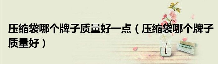 壓縮袋哪個牌子質(zhì)量好一點（壓縮袋哪個牌子質(zhì)量好）