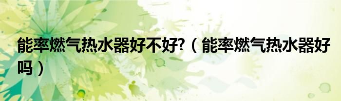 能率燃氣熱水器好不好?（能率燃氣熱水器好嗎）