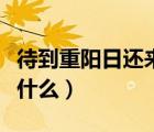 待到重陽日還來就什么花（待到重陽日還來就什么）