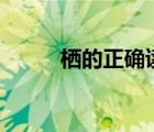 棲的正確讀音（棲什么時(shí)候讀xi）