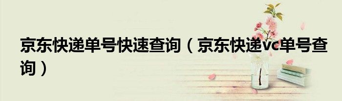 京東快遞單號(hào)快速查詢（京東快遞vc單號(hào)查詢）