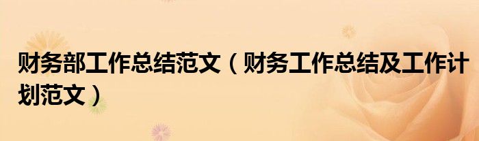 財務(wù)部工作總結(jié)范文（財務(wù)工作總結(jié)及工作計劃范文）