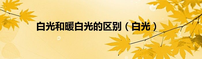 白光和暖白光的區(qū)別（白光）