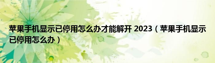 蘋(píng)果手機(jī)顯示已停用怎么辦才能解開(kāi) 2023（蘋(píng)果手機(jī)顯示已停用怎么辦）