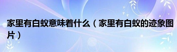 家里有白蟻意味著什么（家里有白蟻的跡象圖片）
