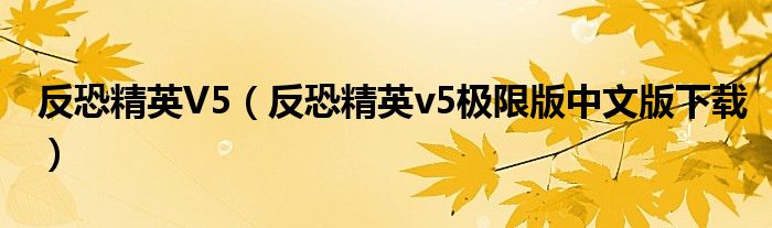 反恐精英V5（反恐精英v5極限版中文版下載）