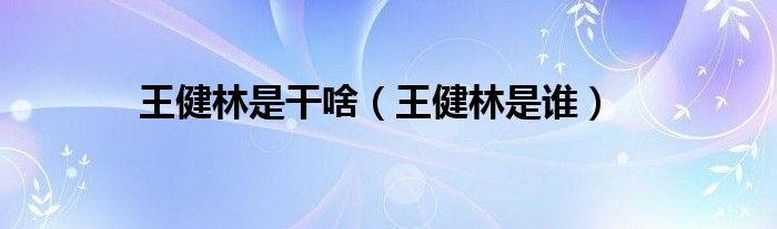王健林是干啥（王健林是誰）