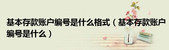 基本存款賬戶編號(hào)是什么格式（基本存款賬戶編號(hào)是什么）