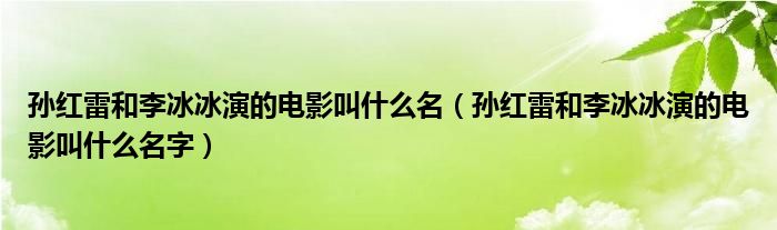 孫紅雷和李冰冰演的電影叫什么名（孫紅雷和李冰冰演的電影叫什么名字）