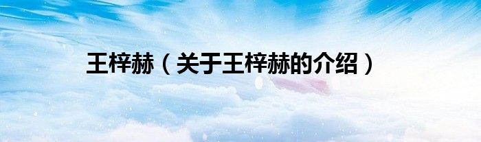 王梓赫（關(guān)于王梓赫的介紹）