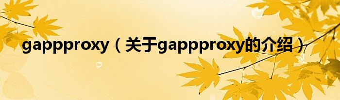 gappproxy（關(guān)于gappproxy的介紹）