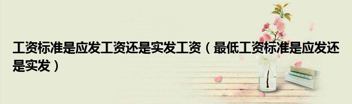 工資標(biāo)準(zhǔn)是應(yīng)發(fā)工資還是實發(fā)工資（最低工資標(biāo)準(zhǔn)是應(yīng)發(fā)還是實發(fā)）