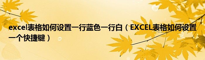 excel表格如何設(shè)置一行藍(lán)色一行白（EXCEL表格如何設(shè)置一個快捷鍵）